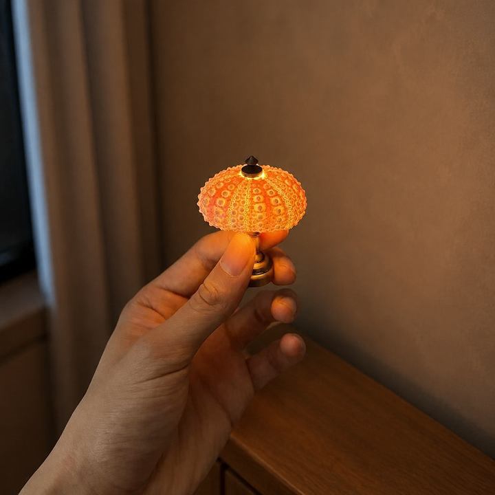 DIY Zee-egel Nachtlampje