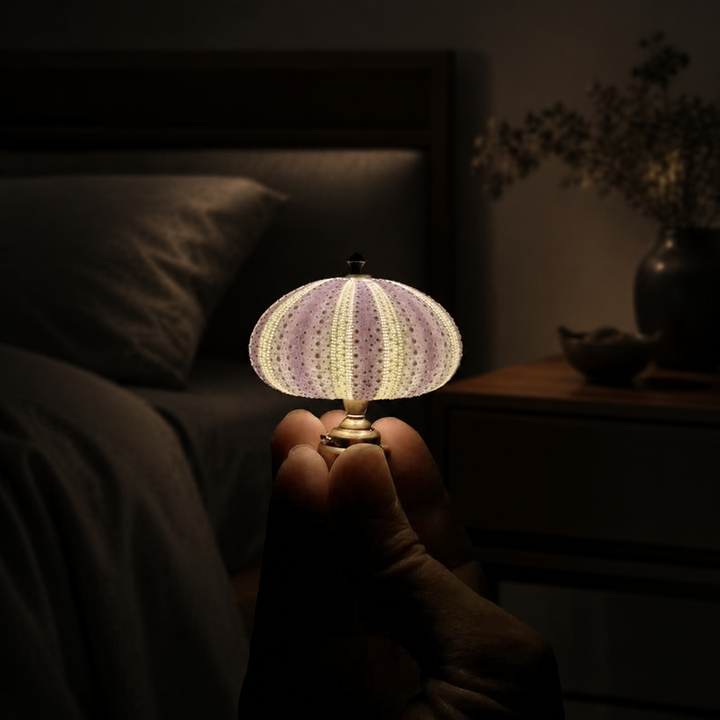 DIY Zee-egel Nachtlampje