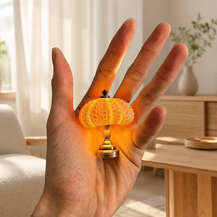 DIY Zee-egel Nachtlampje